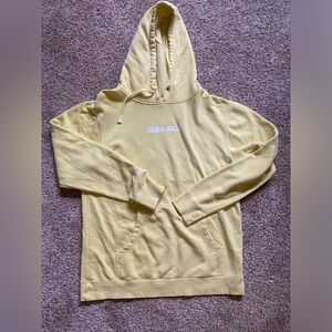 Brianna chickenfry merch 🌞🌼⚡️